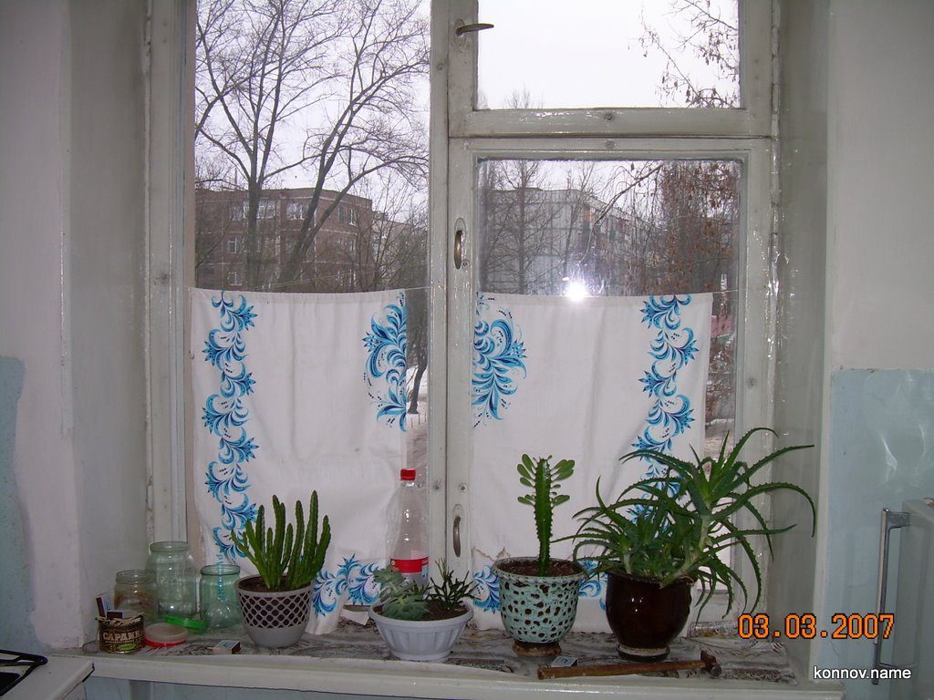5493_original-7183637