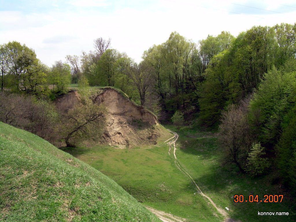 44613_original-5712838