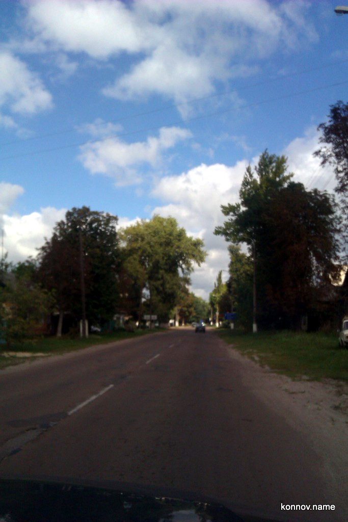 331038_original-6080448
