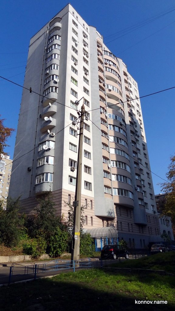 334886_original-7473574