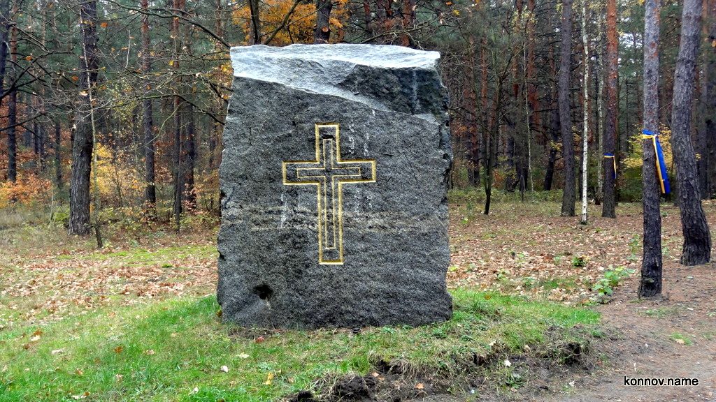 339455_original-2575849