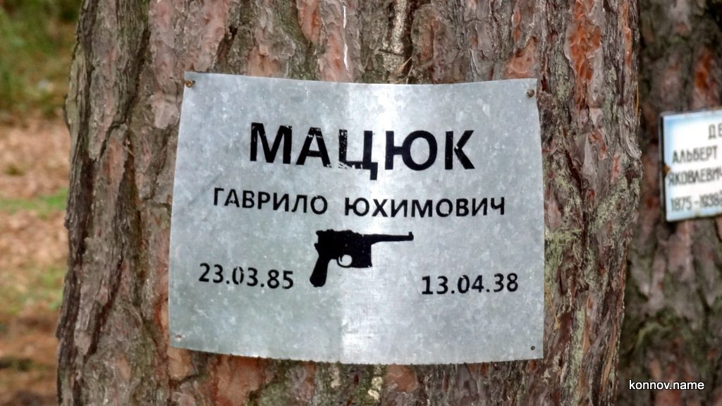 339875_original-6553890