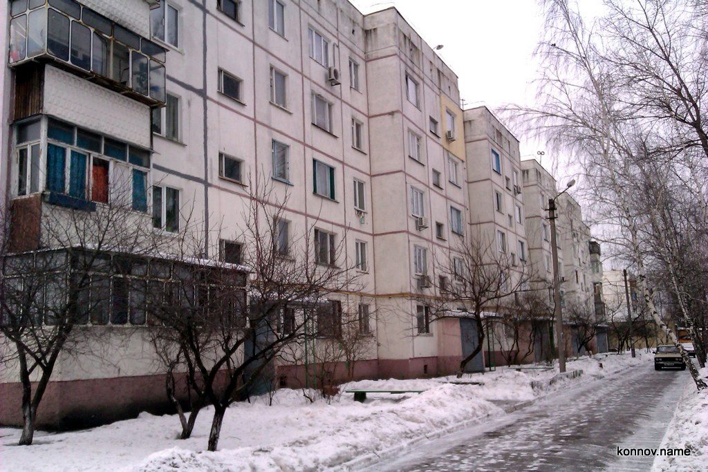 350854_original-7728356
