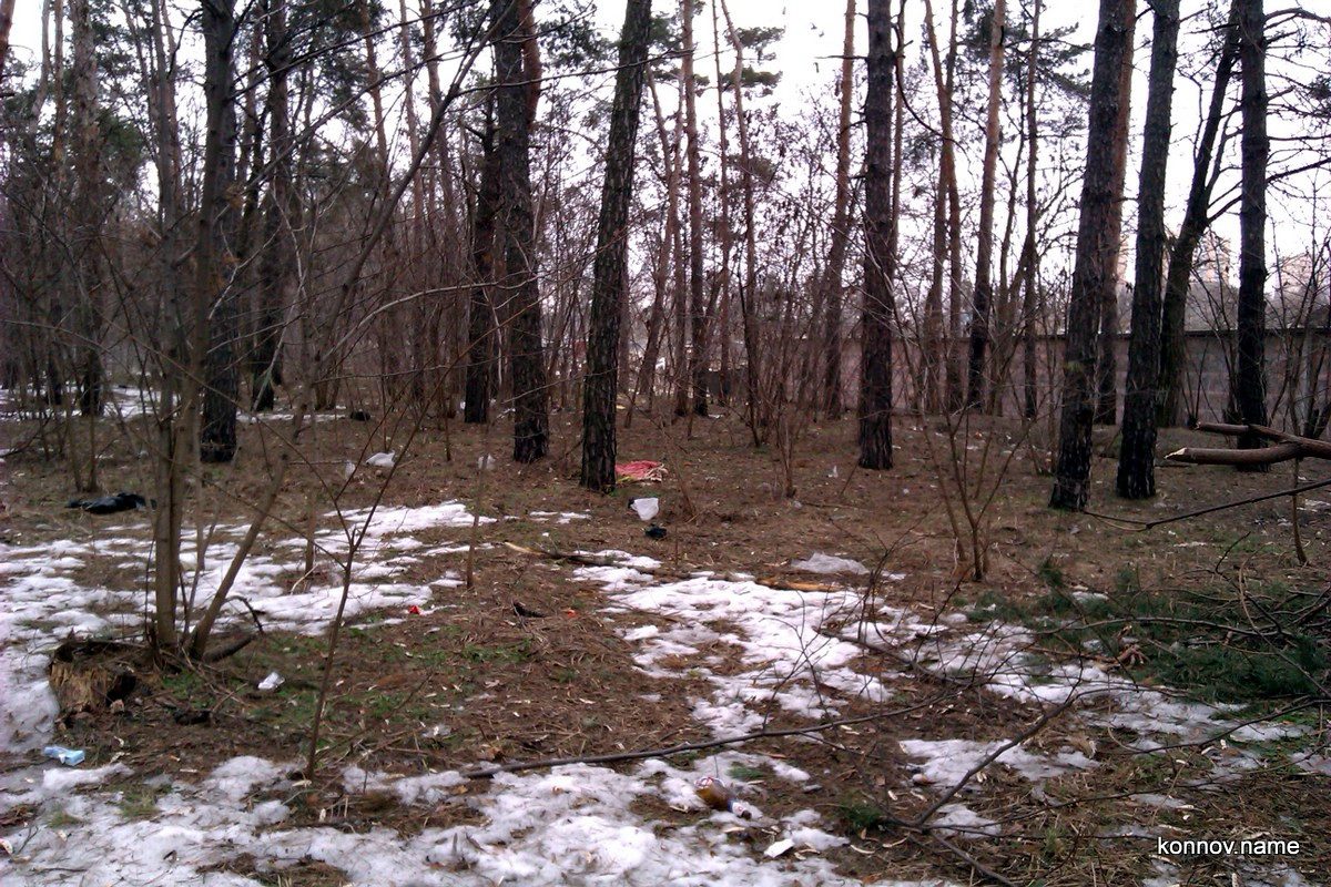 358537_original-8061446