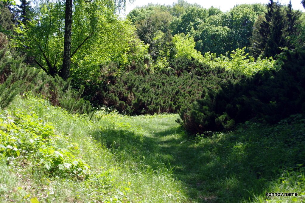 390483_original-3601990