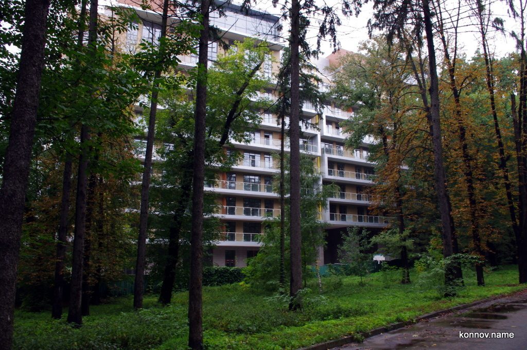 403193_original-5855596