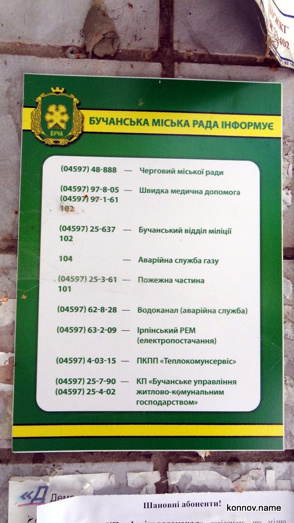 420720_original-4507497