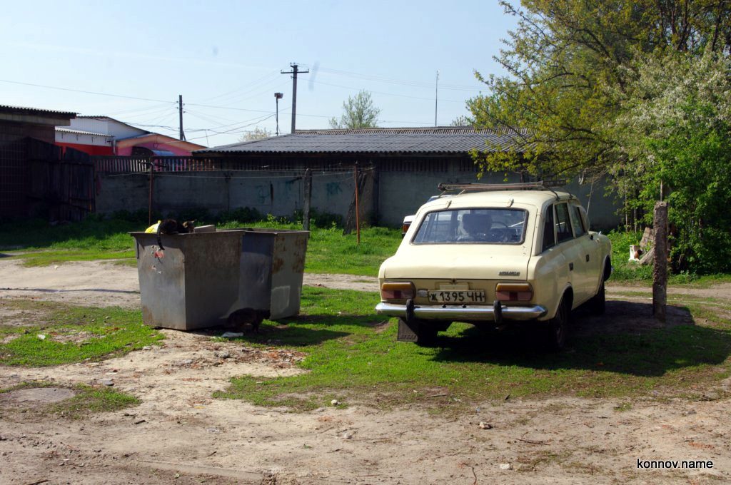 564170_original-6123592