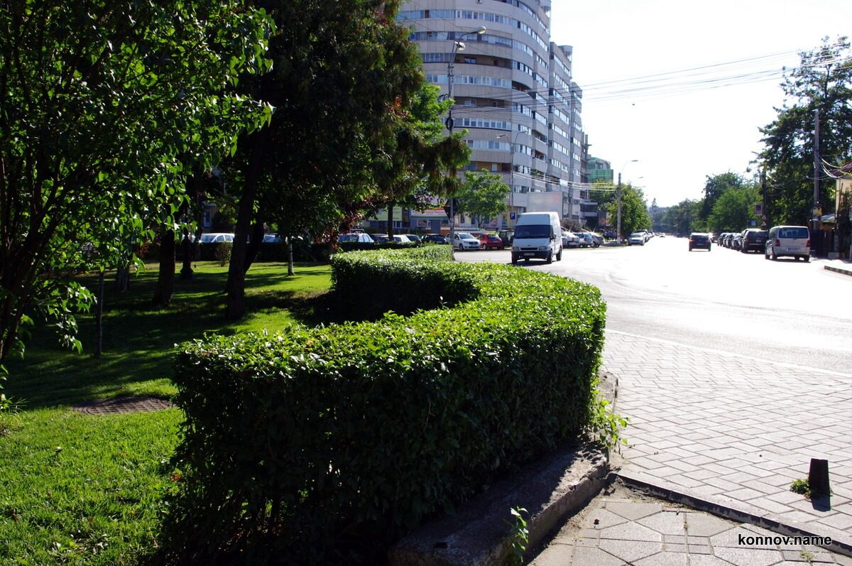 662623_original-4541455