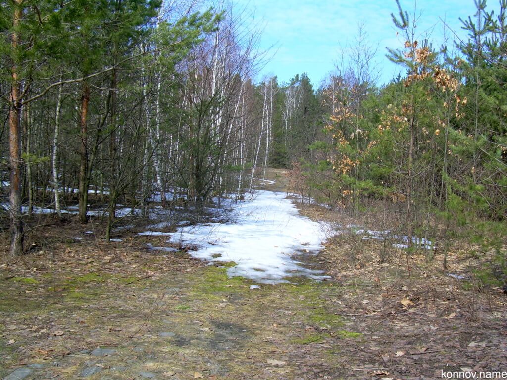 26685_original-3584743