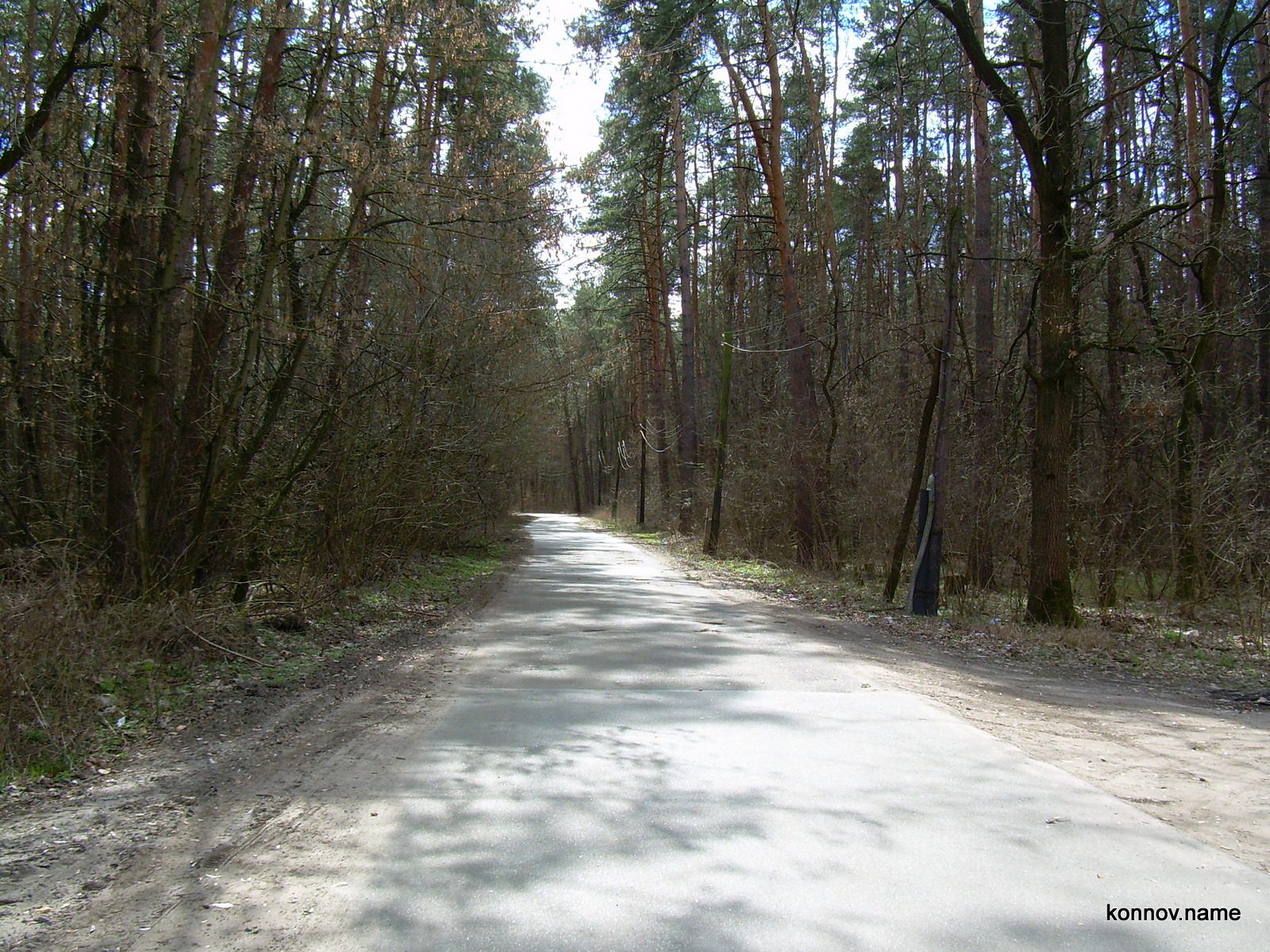 302996_original-5650201