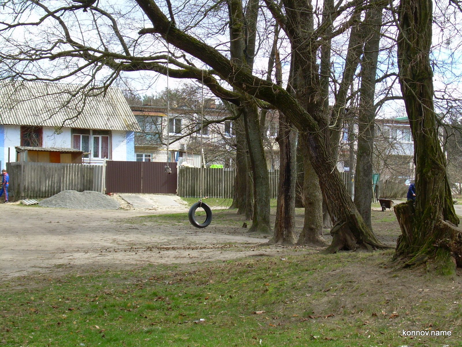 303766_original-1638267