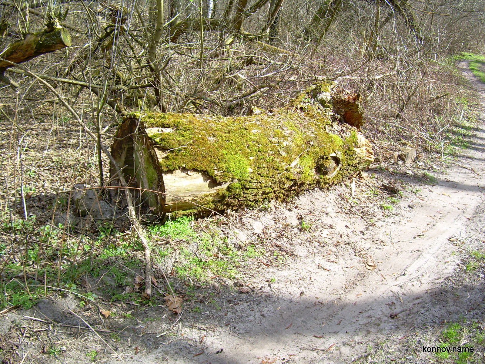 307362_original-9058217