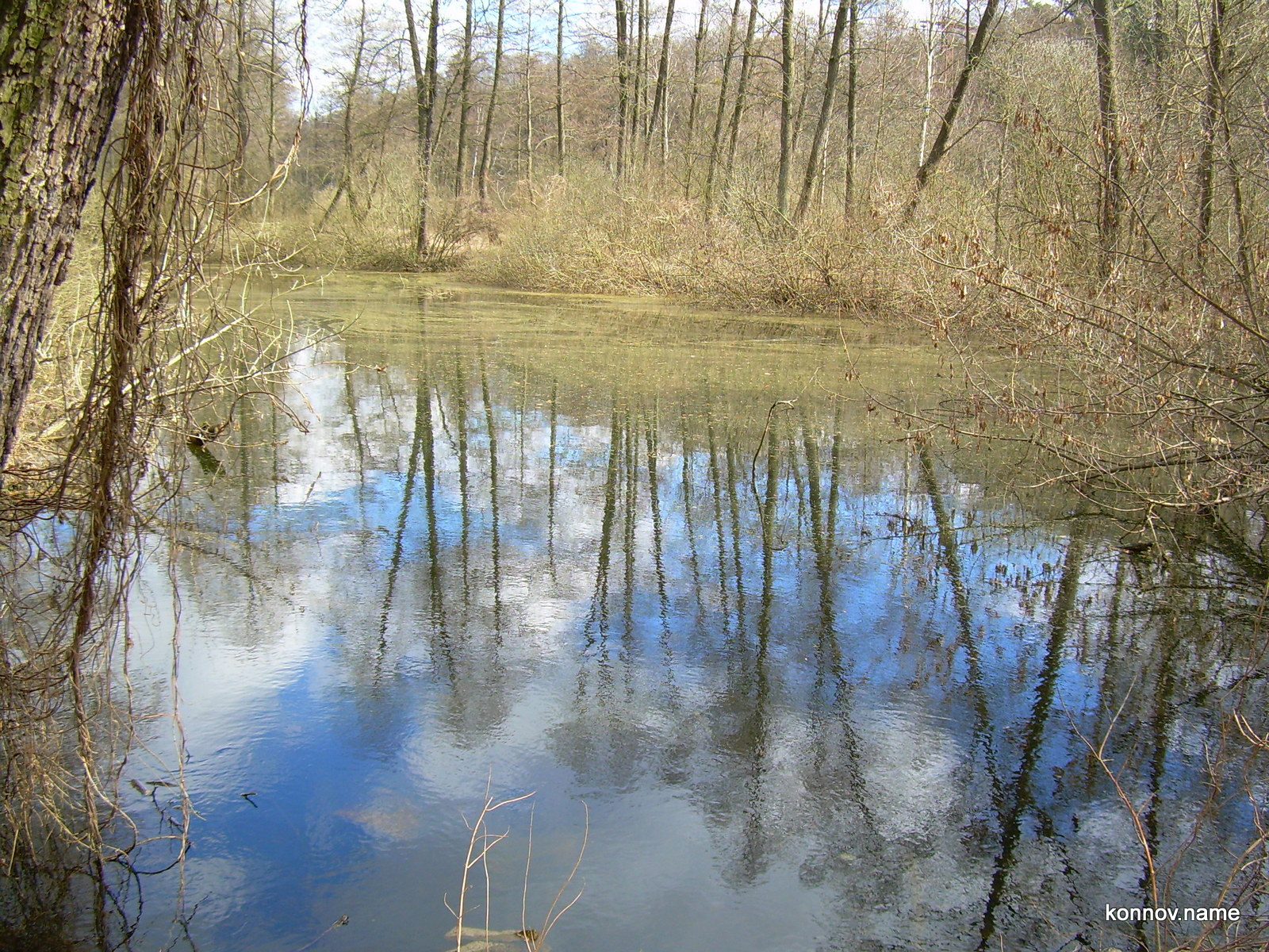 308201_original-3561844