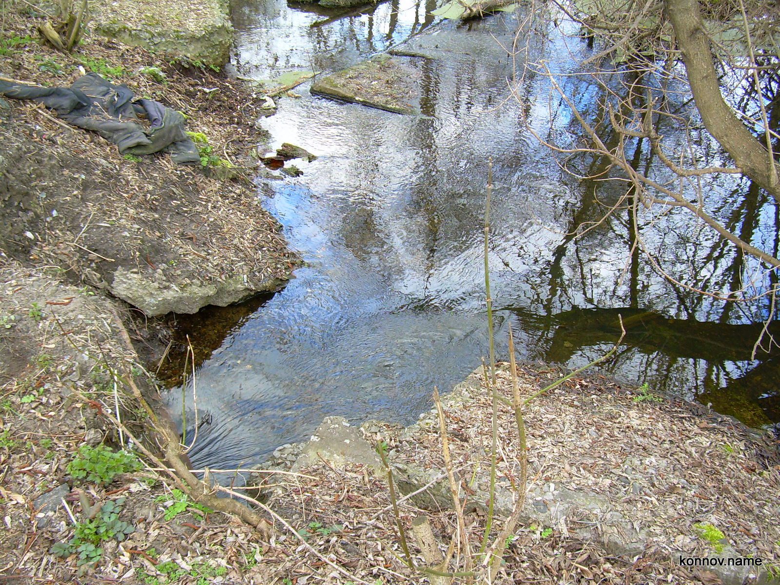 309507_original-7494755