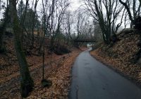 702025_original-5557877