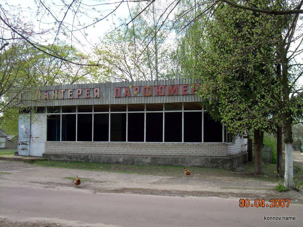 43362_original-3372875