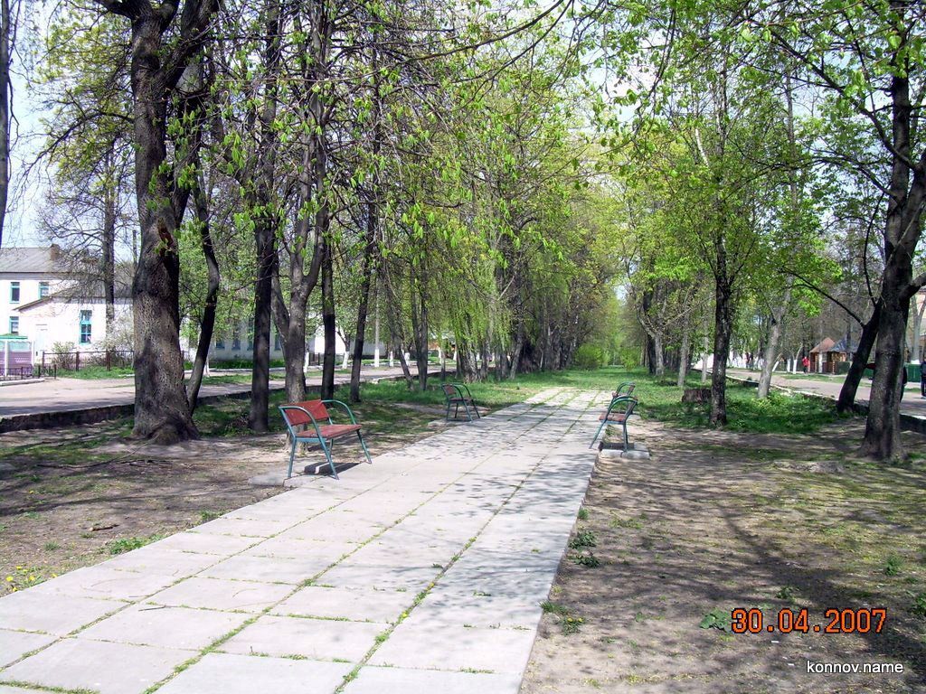 43869_original-4544599