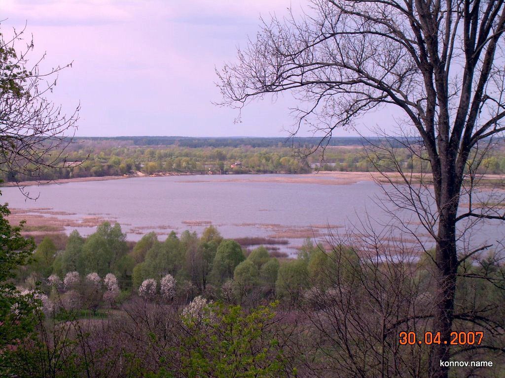 44357_original-3435254