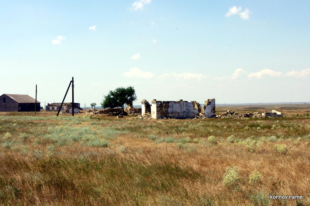 202333_original-8376226
