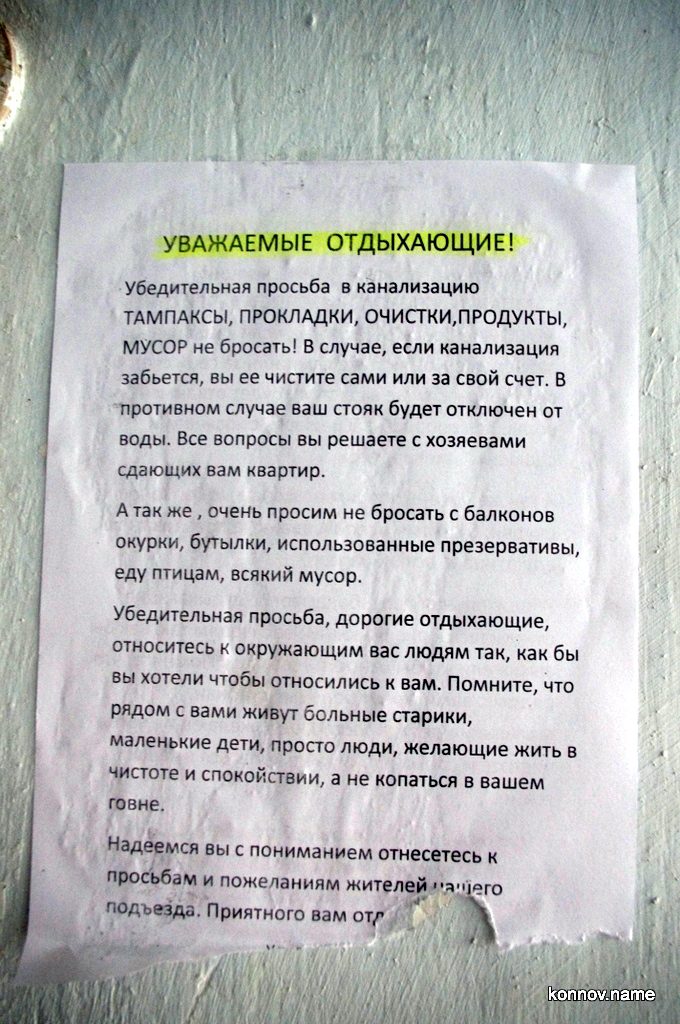 235058_original-6609526