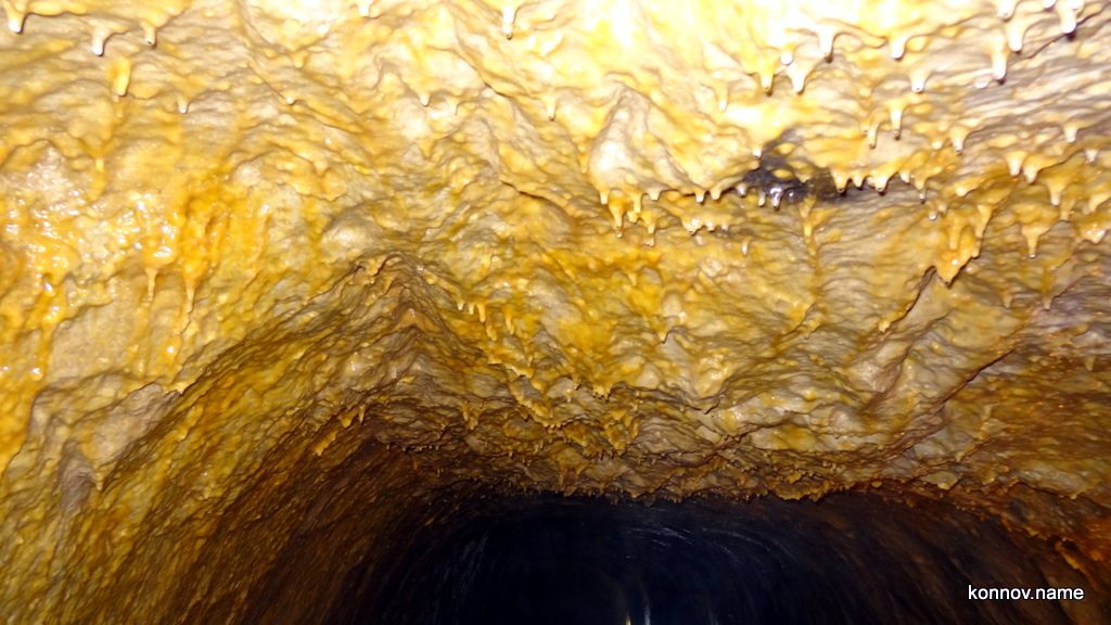 292060_original-6986496