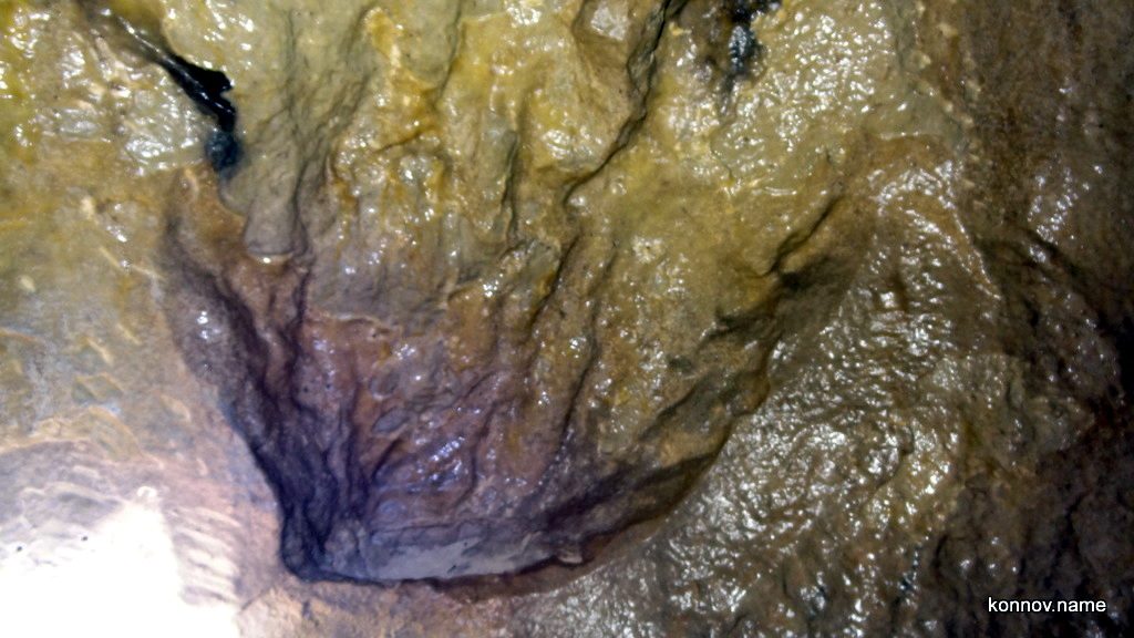 292141_original-9051565